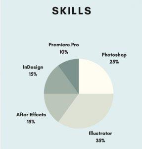 vaardigheden cv diagram